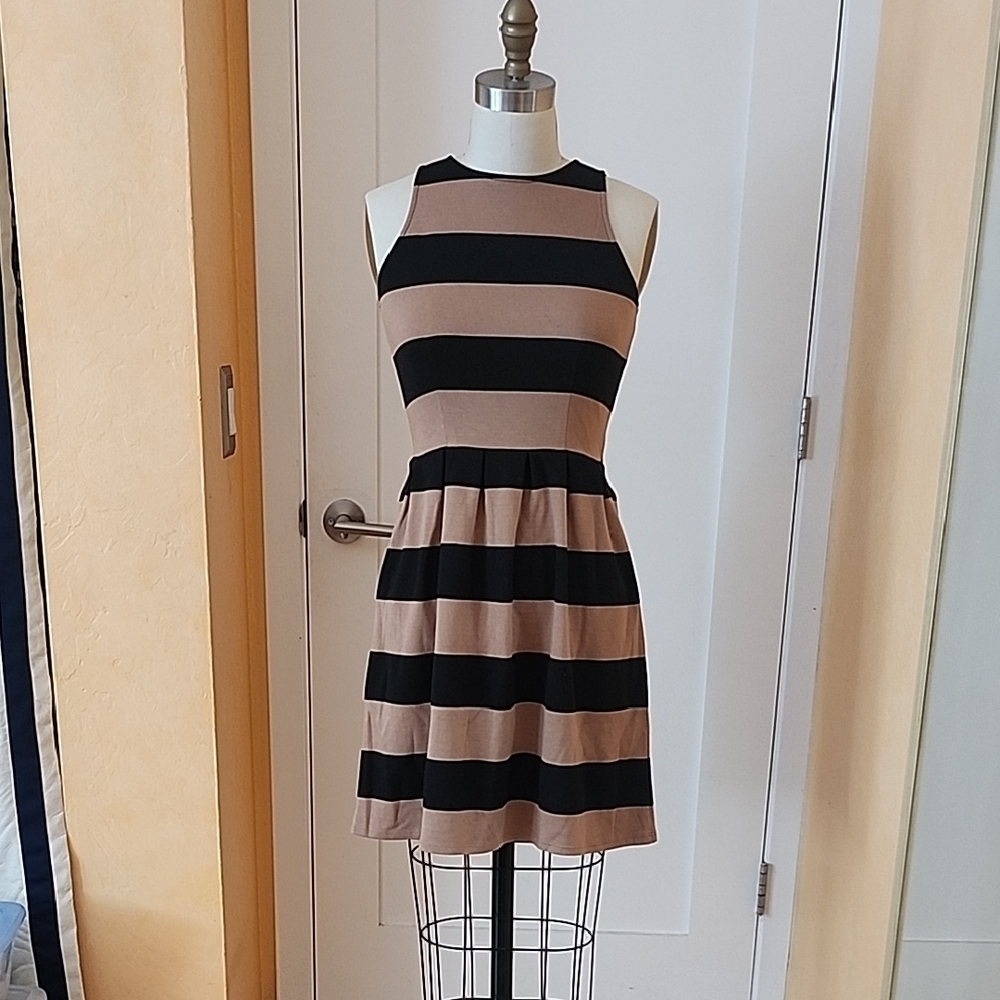 Tinley Road Striped Sleeveless Fit & Flare Dress - Black and Taupe